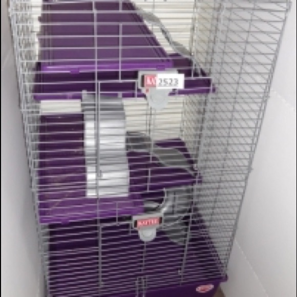 purple ferret cage